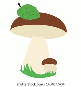 mushroom, forest plant, vector not poisonous mushroom