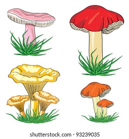 Mushroom forest set on a white background