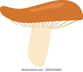 Mushroom Forest Vegetable Vector Illustration