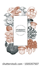 Mushroom frame template. Hand drawn vector food illustration. Engraved style. Retro mushrooms different kinds background.