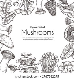 Mushroom frame. Vegetarian food, sketch autumn forest plants. Retro healthy raw, cooking ingredients champignon truffle vector background