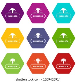Mushroom fresh icons 9 set coloful isolated on white for web