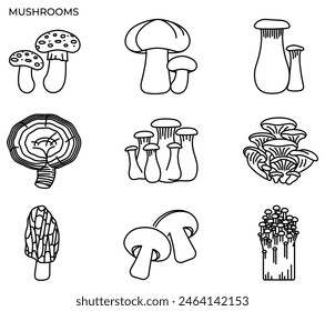 Mushroom and fungi icons modern concept ui ux icon for website, app, presentaion, flyer, brochure etc.