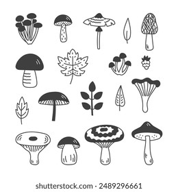 Mushroom and Fungus Doodle Set. Hand drawn edible forest elements. Cep Boletus Agaric Honey Coral Milky cap Chanterelle Morel. Isolated vector illustration