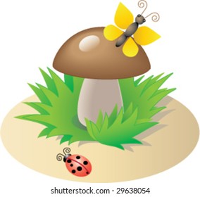 Pilz in Anmut
