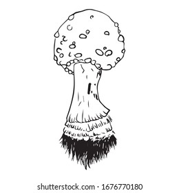 mushroom graphic design, vector illustration, art, symbol of vegetarian food
