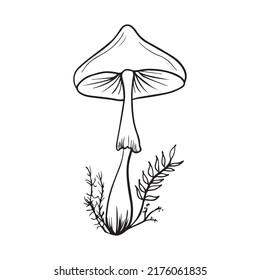 mushroom graphic design vector illustration, art tattoo sketch, hand draw, print use
