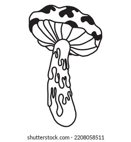 mushroom graphic design vector illustration, art tattoo sketch, hand draw, print use