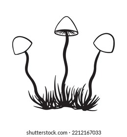mushroom graphic design vector illustration, art tattoo sketch, hand draw, print use