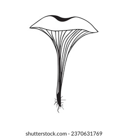 mushroom graphic design vector illustration,art tattoo sketch,hand draw,print use