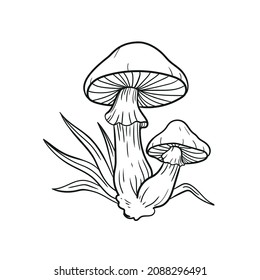 mushroom grass line illustration element