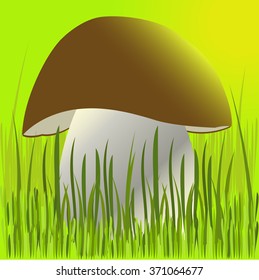 Mushroom in a grass. Vector illustration.