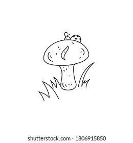 Mushroom in the grass. Vector illustration in a hand-drawn style isolated on a white background. A ladybug is sitting on a mushroom. Black outline.
