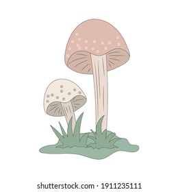 Mushroom with grass vector illustration, isolated colored hand drawn style