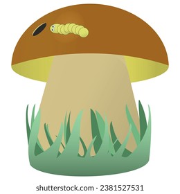 Mushroom in the grass with a worm on the cap, fall. Vector color drawing