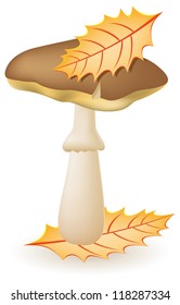 mushroom greasers vector illustration isolated on white background