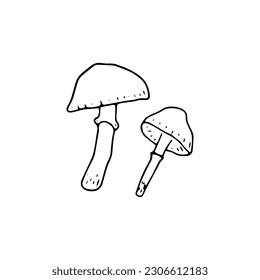 Mushroom, great design for any purposes. Doodle vector illustration. Edible mushrooms and toadstools. Healthy food. Autumn forest plants sketches for textiles, wallpaper, coloring, packaging