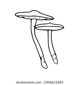 Mushroom, great design for any purposes. Doodle vector illustration. Edible mushrooms and toadstools. Healthy food. Autumn forest plants sketches for textiles, wallpaper, coloring, packaging