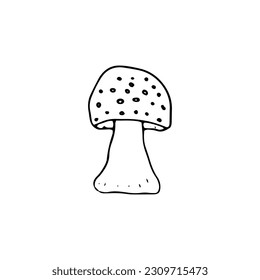 Mushroom, great design for any purposes. Doodle vector illustration. Edible mushrooms and toadstools. Healthy food illustration. Autumn forest plants sketches for textiles, wallpaper, coloring