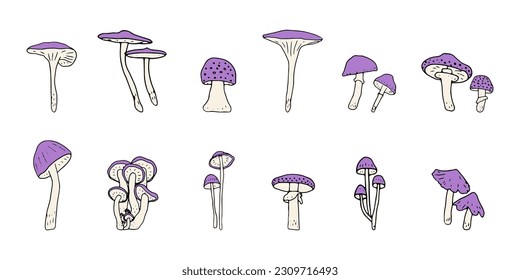Mushroom, great design for any purposes. Doodle vector illustration. Edible mushrooms and toadstools. Healthy food illustration. Autumn forest plants sketches for textiles, wallpaper, packaging