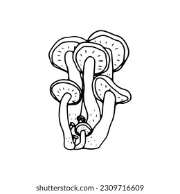 Mushroom, great design for any purposes. Doodle vector illustration. Edible mushrooms and toadstools. Healthy food illustration. Autumn forest plants sketches for textiles, wallpaper, coloring
