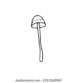 Mushroom, great design for any purposes. Doodle vector illustration. Edible mushrooms and toadstools. Healthy food illustration. Autumn forest plants sketches for textiles, wallpaper, coloring