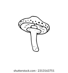 Mushroom, great design for any purposes. Doodle vector illustration. Edible mushrooms and toadstools. Healthy food illustration. Autumn forest plants sketches for textiles, wallpaper, coloring
