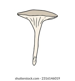 Mushroom, great design for any purposes. Doodle vector illustration. Edible mushrooms and toadstools. Healthy food illustration. Autumn forest plants sketches for textiles, wallpaper, coloring