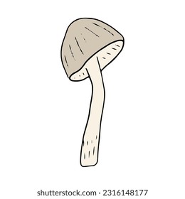 Mushroom, great design for any purposes. Doodle vector illustration. Edible mushrooms and toadstools. Healthy food illustration. Autumn forest plants sketches for textiles, wallpaper, coloring