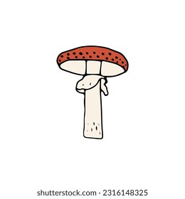 Mushroom, great design for any purposes. Doodle vector illustration. Edible mushrooms and toadstools. Healthy food illustration. Autumn forest plants sketches for textiles, wallpaper, coloring