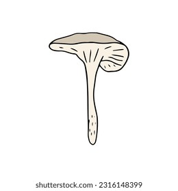 Mushroom, great design for any purposes. Doodle vector illustration. Edible mushrooms and toadstools. Healthy food illustration. Autumn forest plants sketches for textiles, wallpaper, coloring