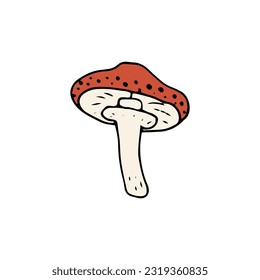Mushroom, great design for any purposes. Doodle vector illustration. Edible mushrooms and toadstools. Healthy food illustration. Autumn forest plants sketches for textiles, wallpaper, coloring