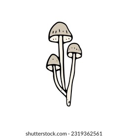 Mushroom, great design for any purposes. Doodle vector illustration. Edible mushrooms and toadstools. Healthy food illustration. Autumn forest plants sketches for textiles, wallpaper, coloring