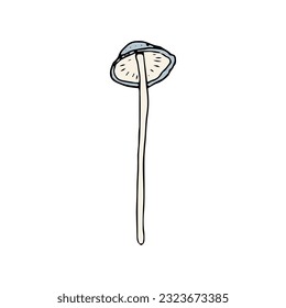 Mushroom, great design for any purposes. Doodle vector illustration. Edible mushrooms and toadstools. Healthy food illustration. Autumn forest plants sketches for textiles, wallpaper, coloring
