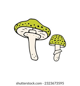 Mushroom, great design for any purposes. Doodle vector illustration. Edible mushrooms and toadstools. Healthy food illustration. Autumn forest plants sketches for textiles, wallpaper, coloring