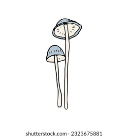 Mushroom, great design for any purposes. Doodle vector illustration. Edible mushrooms and toadstools. Healthy food illustration. Autumn forest plants sketches for textiles, wallpaper, coloring