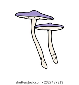 Mushroom, great design for any purposes. Doodle vector illustration. Edible mushrooms and toadstools. Healthy food illustration. Autumn forest plants sketches for textiles, wallpaper, coloring