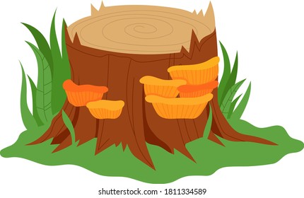 Mushroom growing stump, tree nature, cartoon art, edible boletus, isolated on white, design, flat style vector illustration. Element forest, brown fresh wild fungus, boletus delicious background.
