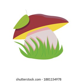 
mushroom grows in the grass. white mushroom, boletus in cartoon style. element for kids illustration. edible mushroom. stock vector illustration isolated on white background. 