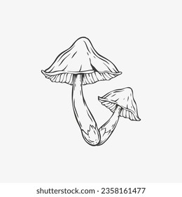 mushroom hand drawing vector illustration