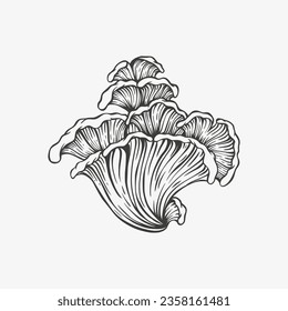 mushroom hand drawing vector illustration