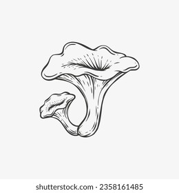 mushroom hand drawing vector illustration