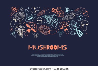 Mushroom hand drawn horizontal doodle banner with Isolated sketch Champignon, enokitake, oyster, chanterelle, shiitake. Use it for menu, banner, badge, product packaging