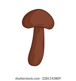 mushroom hand drawn illustration design. perfect for fall design elements
