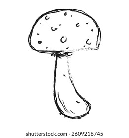 Mushroom hand drawn illustration. Floral element design. Hand drawn botanical illustration