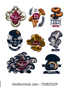 Mushroom hand drawn logo set. Isolated vector illustration. Organic vegetarian product for menu or packaging. Honey agaric, edible mushroom, russula, chanterelle,
shimeji, champignon. Engraving