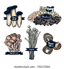 Mushroom hand drawn logo set. Isolated vector illustration. Organic vegetarian product for restaurant menu or packaging. Honey agaric, shiitake, edible mushroom, enoki mushrooms, eringi. Engraving