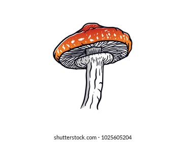 Mushroom hand drawn logo vector designs, vector illustration