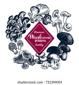 Mushroom hand drawn set. Isolated vector illustration. Organic vegetarian product for restaurant menu or packaging. Honey agaric, edible mushroom, russula, chanterelle,
shimeji, champignon. Engraving