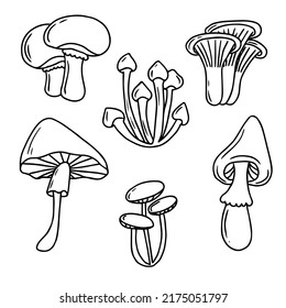 Mushroom hand drawn set vector illustration. Mushrooms collection in doodle style. Fresh organic food isolated on white.